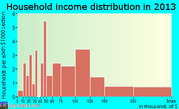 New Market household income distribution