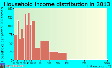 Ferndale household income distribution