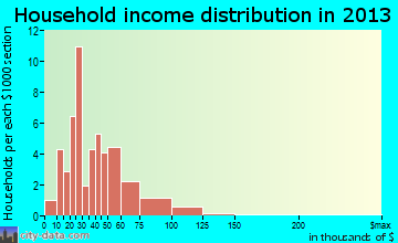 Burr Oak household income distribution