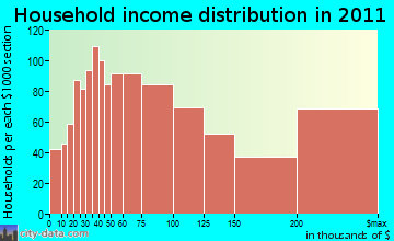 Bloomfield Township household income distribution