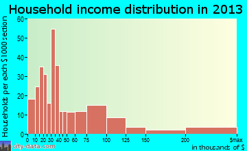 Williamston household income distribution