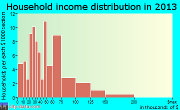 Petersburg household income distribution