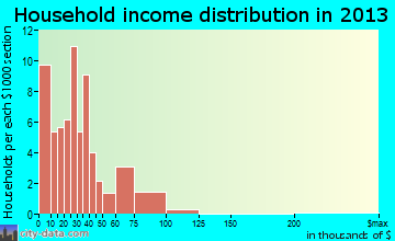 Port Austin household income distribution