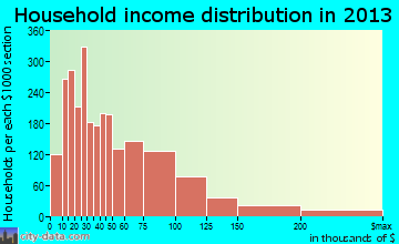 Portage, MI household income