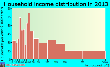 Rochester household income distribution