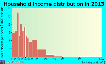 Union City household income distribution