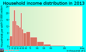 Vassar household income distribution
