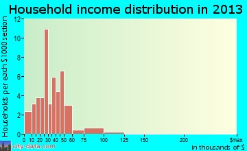Palmer household income distribution