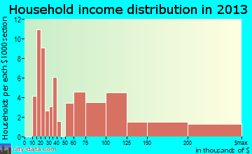 Birchwood Village household income distribution