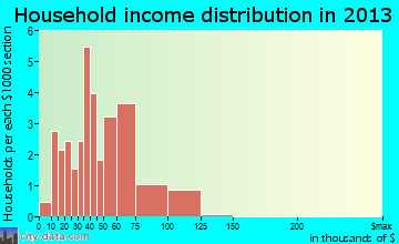 Brandon, MN household income