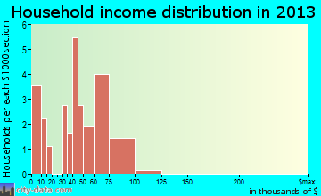 Magnolia household income distribution