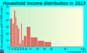 Morris household income distribution