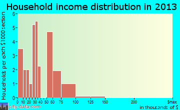 New Auburn household income distribution