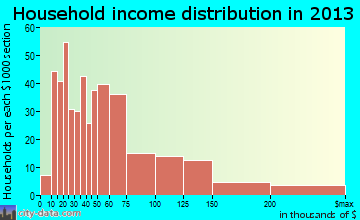 New Prague household income distribution