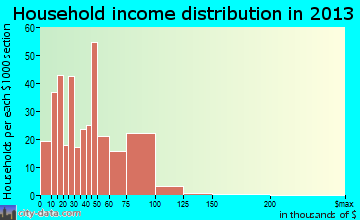 Pine City household income distribution