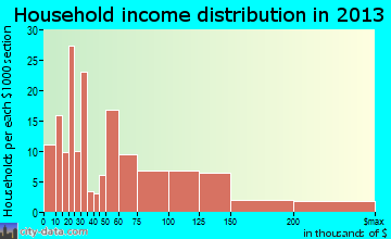 Pine Island household income distribution