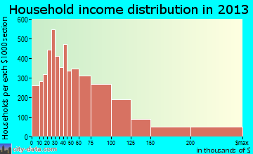 Rochester household income distribution
