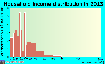 Rushmore household income distribution