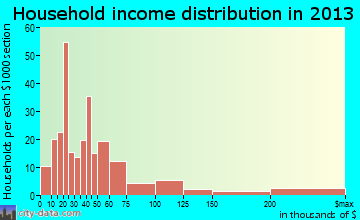 Spring Park household income distribution