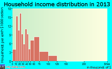 Winnebago household income distribution