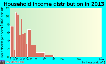 Horatio household income distribution