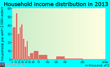 Magee household income distribution