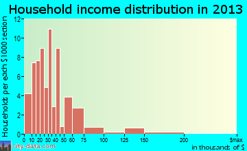 Perry household income distribution