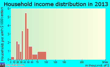 Rayville household income distribution