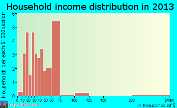 Diggins household income distribution