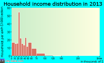 Camdenton household income distribution