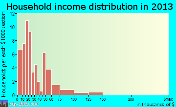 Birch Tree household income distribution