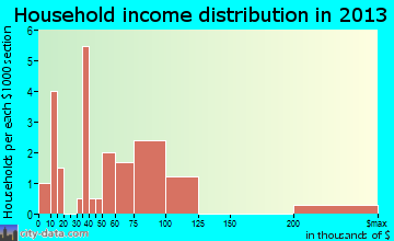 Birmingham household income distribution