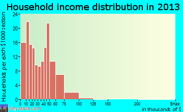 Bernie household income distribution