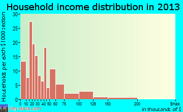 Forsyth household income distribution
