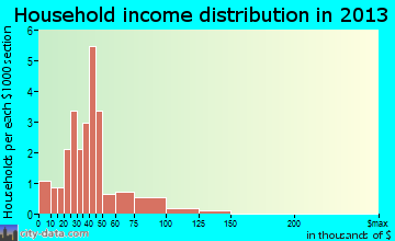 Custer household income distribution