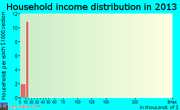 Turtle Lake household income distribution