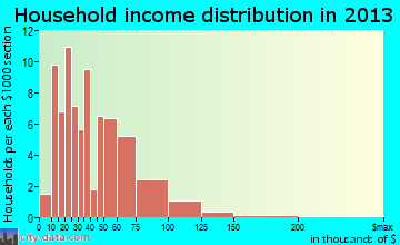 Scribner household income distribution