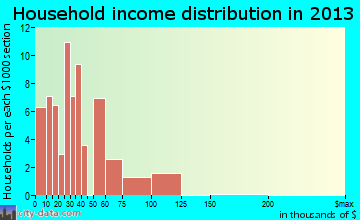 Nelson household income distribution