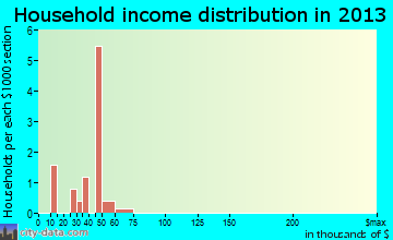 Rudy household income distribution