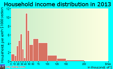 Kenesaw household income distribution
