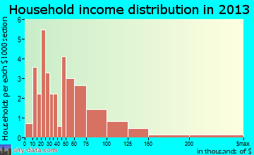 Homer household income distribution