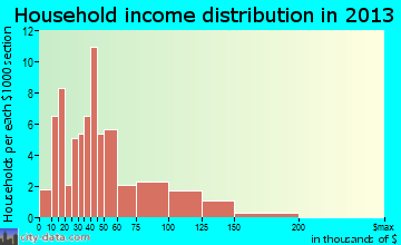 Elm Creek household income distribution