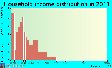 Ruth household income distribution
