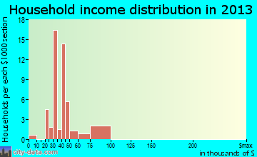 Fallon Station household income distribution