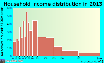 Enterprise household income distribution