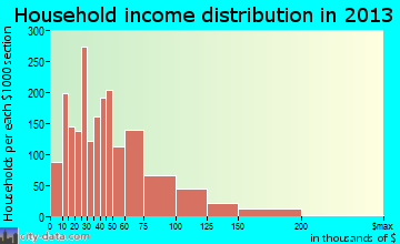 Rochester household income distribution