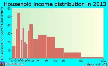 Audubon household income distribution
