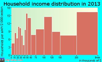 Chatham household income distribution