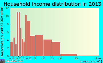 Elmer household income distribution