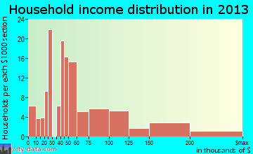 Leonardo household income distribution
